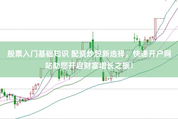 股票入门基础知识 配资炒股新选择，快速开户网站助您开启财富增长之旅！