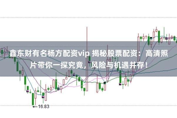 鑫东财有名杨方配资vip 揭秘股票配资：高清照片带你一探究竟，风险与机遇并存！