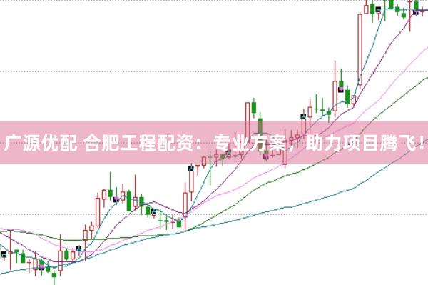 广源优配 合肥工程配资：专业方案，助力项目腾飞！