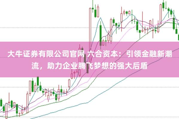 大牛证券有限公司官网 六合资本：引领金融新潮流，助力企业腾飞梦想的强大后盾