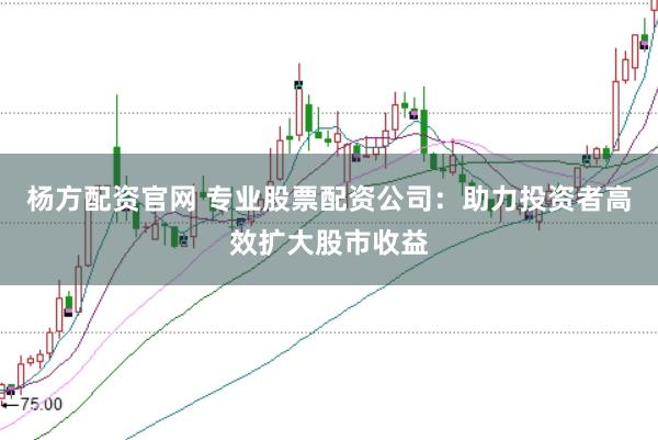 杨方配资官网 专业股票配资公司：助力投资者高效扩大股市收益
