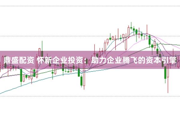 鼎盛配资 怀新企业投资：助力企业腾飞的资本引擎