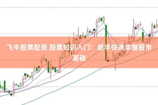 飞牛股票配资 股票知识入门：新手快速掌握股市基础