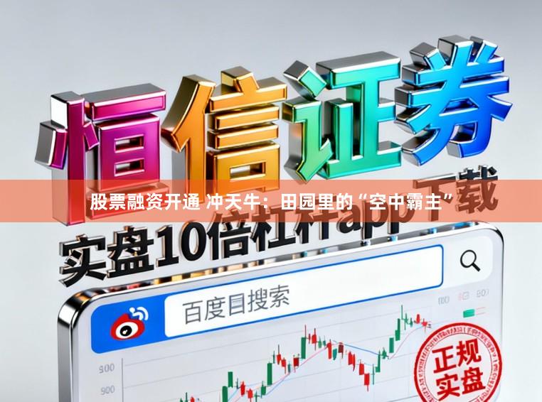 股票融资开通 冲天牛：田园里的“空中霸主”