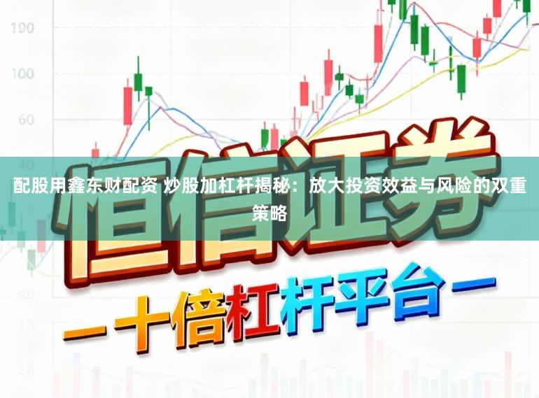 配股用鑫东财配资 炒股加杠杆揭秘：放大投资效益与风险的双重策略